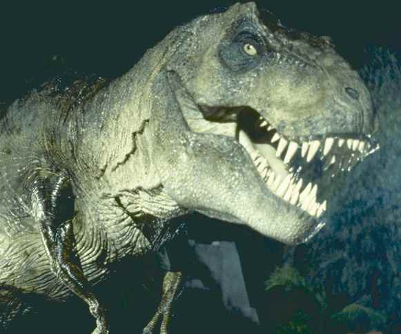 jurassic-park-movie-image-t-rex-01.jpg