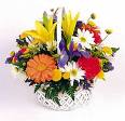 th_53589_flowas_122_471lo.jpg