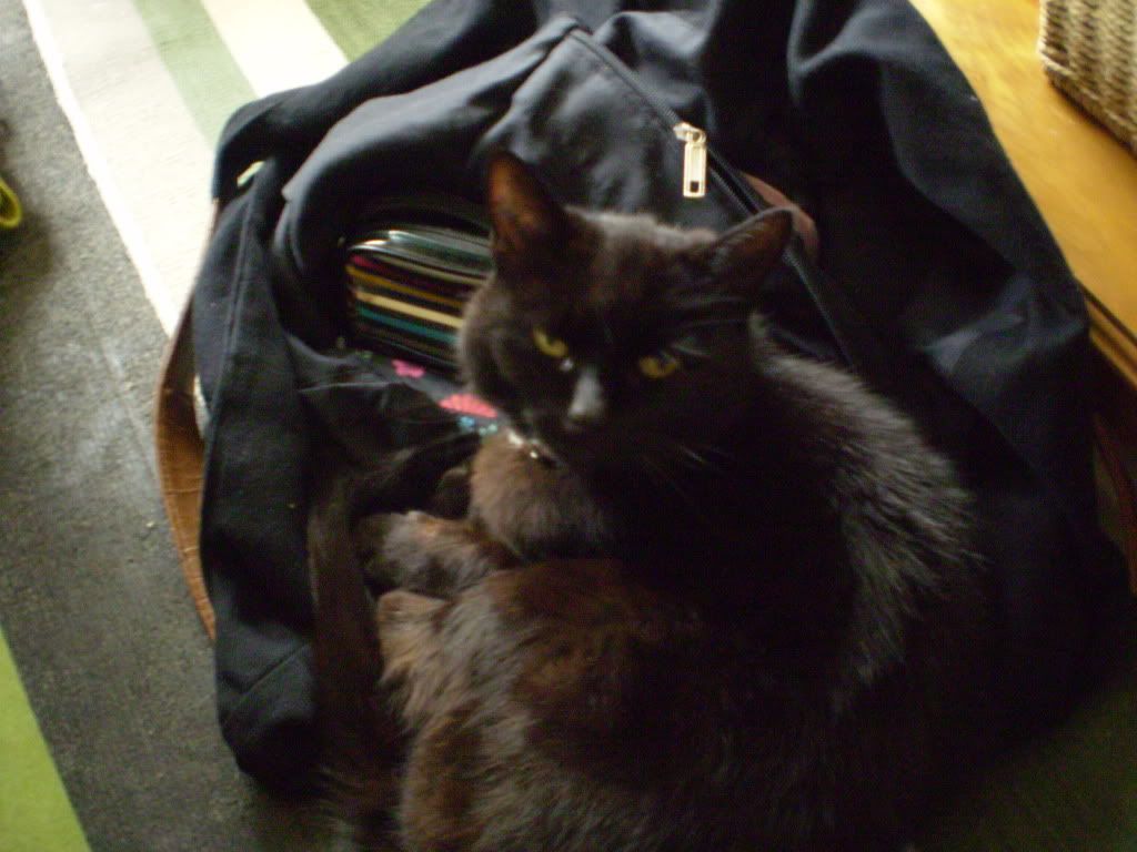 photo004.jpg