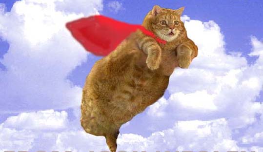 flying%20cat.jpg