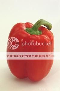 09_11_51---Red-Pepper_web.jpg