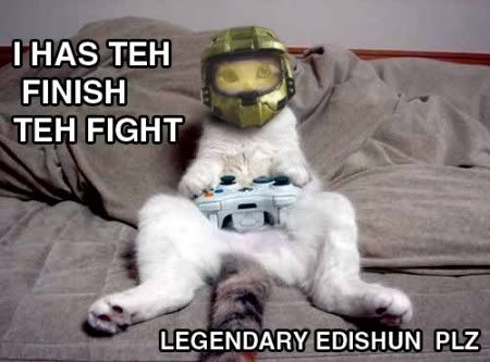 halo3cat.jpg