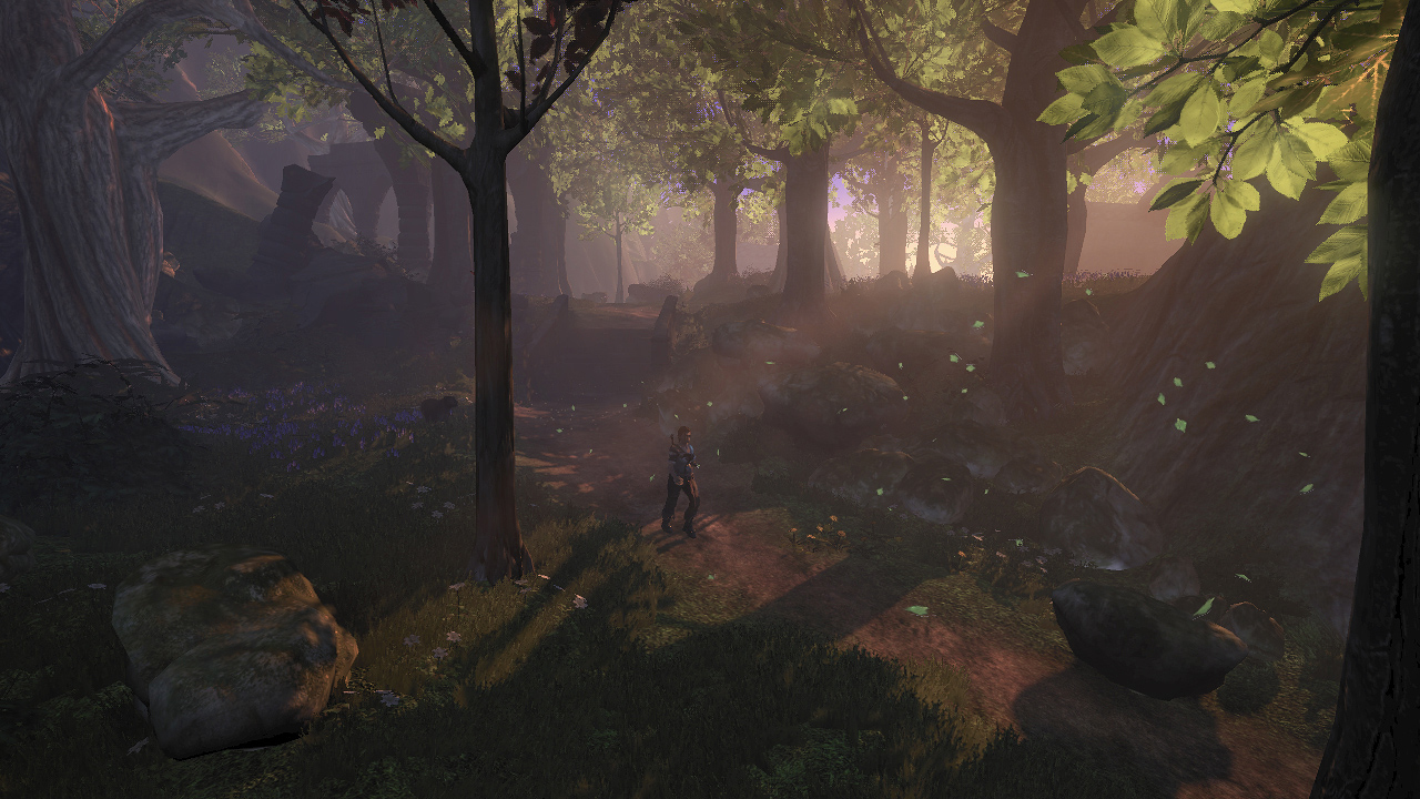 Fable-2-screenshot-Forest-fable-829796_1280_720.jpg