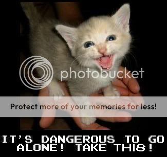 its-dangerous-take-this-cat.jpg