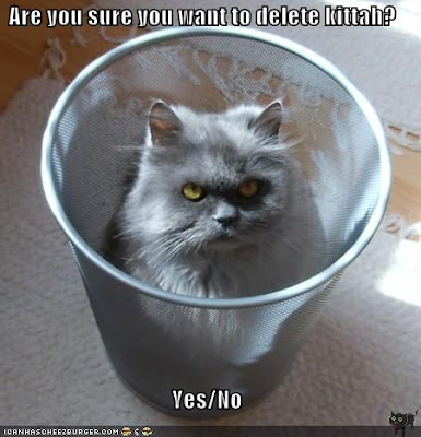 recycle-bin-cat.gif