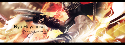 NinjaGaiden-2.png