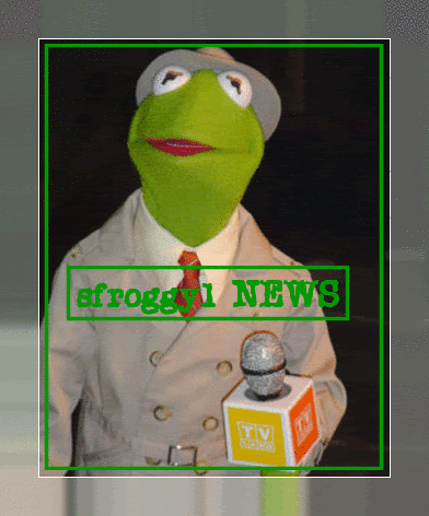 sfroggy1news.gif