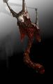 76px-Dead_space_flytrap_2.jpg